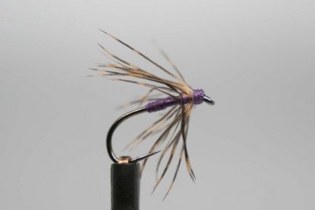 IMG_8394 Spider mit Semperfli sempersilk purple.JPG IMG_8394 Spider mit Semperfli sempersilk purple.JPG