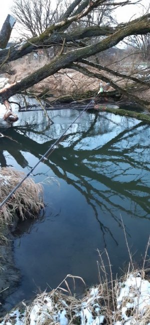 20220108_165304.jpg 20220108_165304.jpg