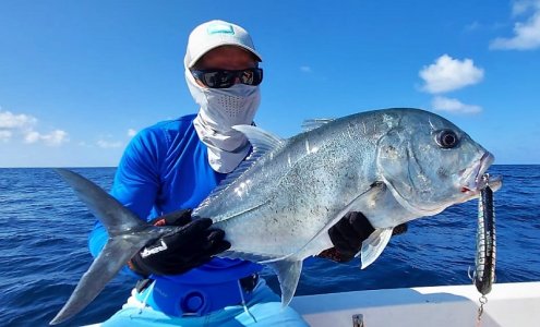 WhatsApp Image 2022-01-08 at 12.33.39 (1).jpeg