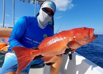 WhatsApp Image 2022-01-08 at 12.33.44 (1).jpeg