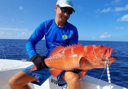 WhatsApp Image 2022-01-08 at 12.33.46.jpeg