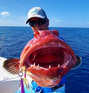 WhatsApp Image 2022-01-08 at 12.33.48.jpeg