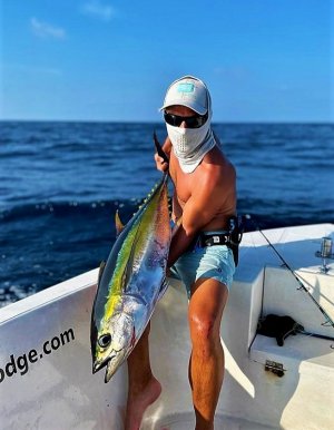 WhatsApp Image 2022-01-10 at 15.04.34.jpeg WhatsApp Image 2022-01-10 at 15.04.34.jpeg