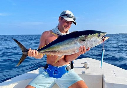 WhatsApp Image 2022-01-10 at 15.04.35.jpeg WhatsApp Image 2022-01-10 at 15.04.35.jpeg