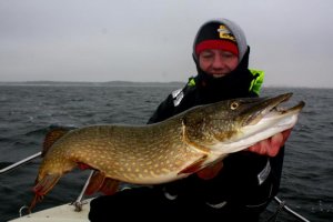Bodden1.jpg