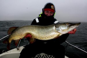 Bodden1-1.jpg