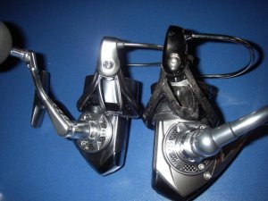 IMGP1167.jpg IMGP1167.jpg