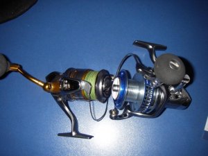 IMGP1174.jpg IMGP1174.jpg