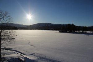 IMG_2300.jpg