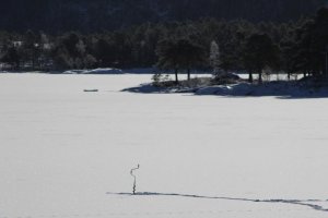 IMG_2334.jpg