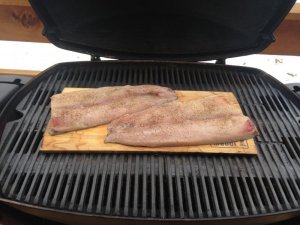 IMG_0090.jpg IMG_0090.jpg