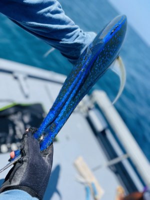 93B4B024-384C-450B-8082-786D4F974A19.jpeg 93B4B024-384C-450B-8082-786D4F974A19.jpeg