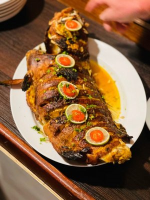 8590711B-CD46-453C-A337-782E611D9406.jpeg 8590711B-CD46-453C-A337-782E611D9406.jpeg