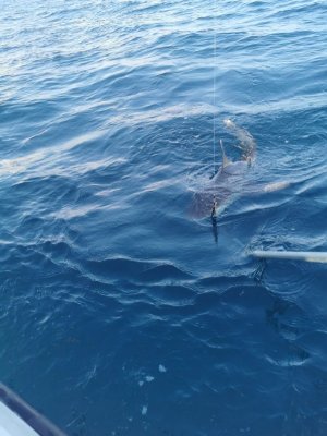 B8EF9558-4938-4C96-A570-5859F601953C.jpeg B8EF9558-4938-4C96-A570-5859F601953C.jpeg