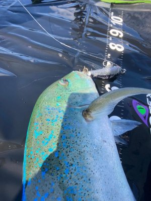 97F9C648-B5D5-4FD0-B331-B047C9F82D88.jpeg 97F9C648-B5D5-4FD0-B331-B047C9F82D88.jpeg