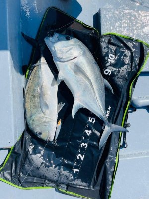 660217FB-714E-42D2-B89E-90294157DDD0.jpeg 660217FB-714E-42D2-B89E-90294157DDD0.jpeg