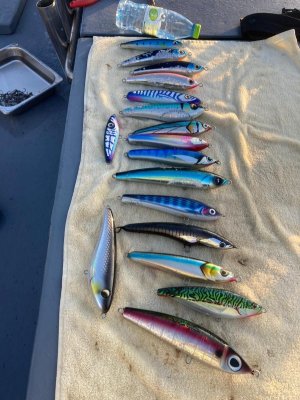 75666ADC-025F-417B-AAD5-792CA443260E.jpeg 75666ADC-025F-417B-AAD5-792CA443260E.jpeg