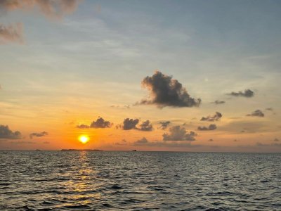 0B58DF3C-5FC9-4837-90A5-082D6F693E7B.jpeg 0B58DF3C-5FC9-4837-90A5-082D6F693E7B.jpeg