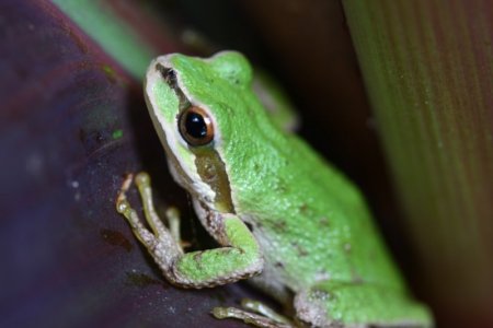 IMG_3931.JPG IMG_3931.JPG