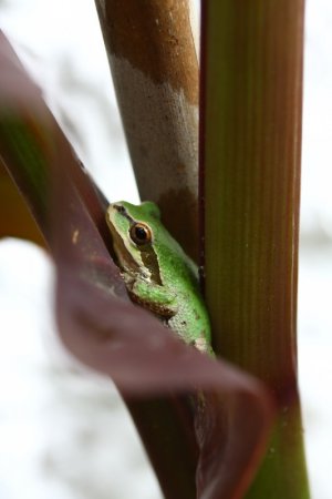 IMG_3897.JPG IMG_3897.JPG