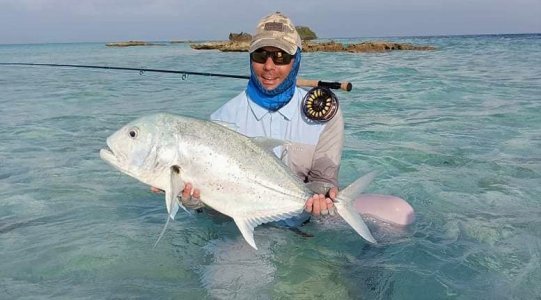 WhatsApp Image 2022-01-19 at 16.13.51.jpeg