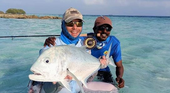 WhatsApp Image 2022-01-19 at 16.13.52.jpeg