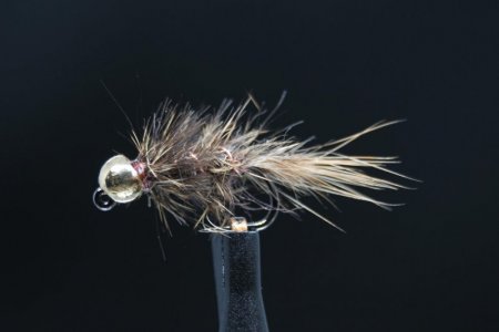 IMG_8501 HE.jpg IMG_8501 HE.jpg