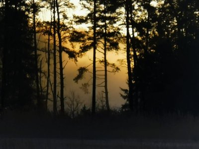 IMG-20220123-WA0002.jpg