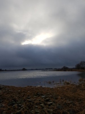 20220123_133921.jpg