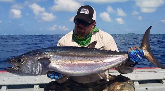 WhatsApp Image 2022-01-24 at 13.33.42.jpeg