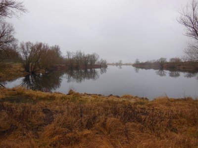 DSCN9547.JPG