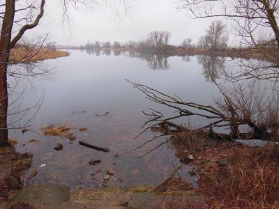 DSCN9557.JPG