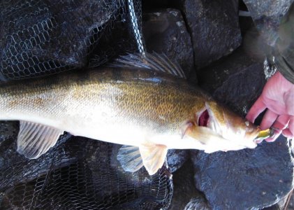 DSCN9597.JPG