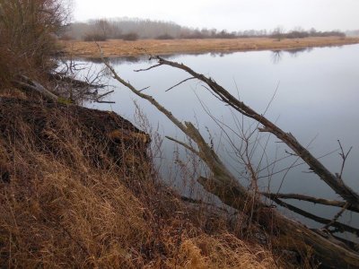 DSCN9561.JPG