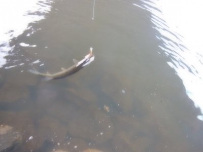 DSCN9590.JPG