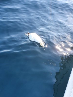 20200805_162239.jpg