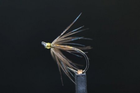 IMG_8592.JPG IMG_8592.JPG