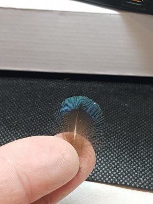 20220130_105709.jpg 20220130_105709.jpg