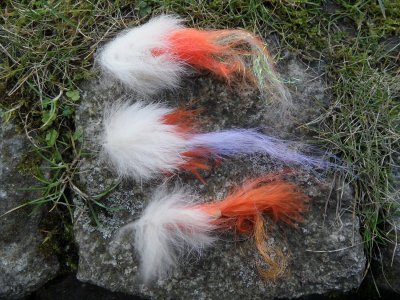 SAM_4815.JPG SAM_4815.JPG