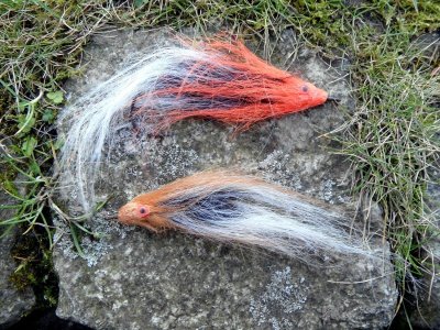 SAM_4816_b.jpg SAM_4816_b.jpg