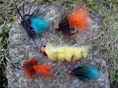 SAM_4817_b.jpg SAM_4817_b.jpg