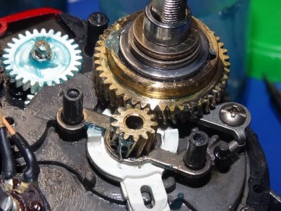 DSC06905.JPG DSC06905.JPG