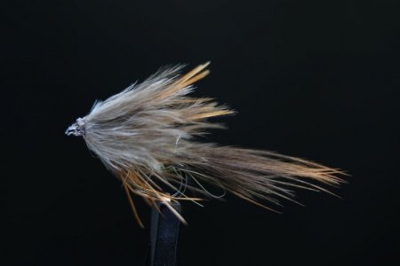 Sparrow Variante IMG_8616.jpg Sparrow Variante IMG_8616.jpg