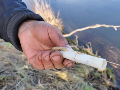 IMG_20220213_155149.jpg IMG_20220213_155149.jpg