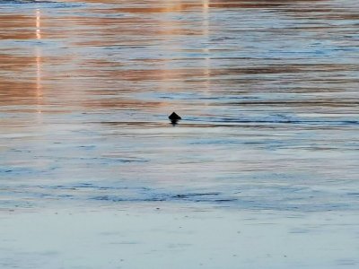 IMG_20220213_163503.jpg IMG_20220213_163503.jpg