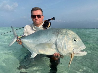 WhatsApp Image 2022-02-17 at 12.07.59.jpeg