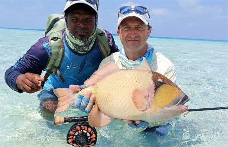 WhatsApp Image 2022-02-19 at 18.33.24.jpeg