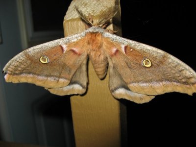 IMG_6351.JPG IMG_6351.JPG