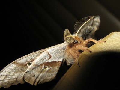 IMG_6347.JPG IMG_6347.JPG