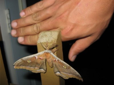 IMG_6352.JPG IMG_6352.JPG